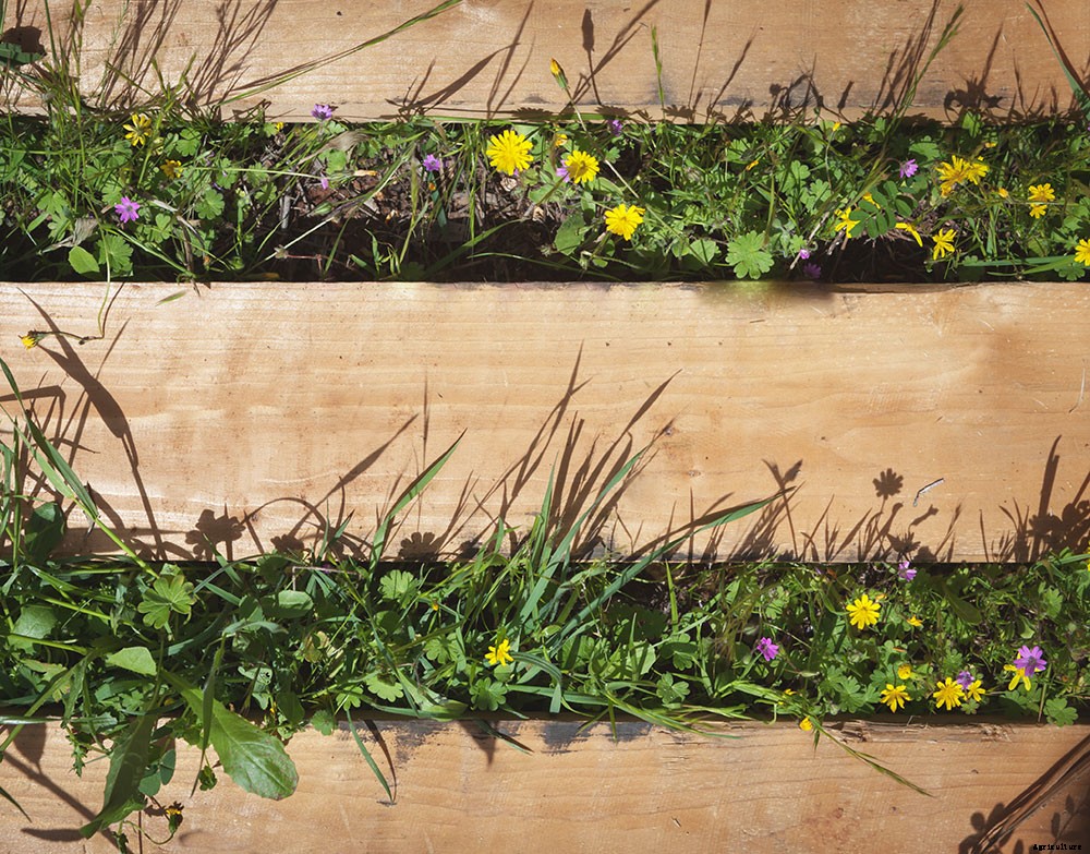 Upcycle Old Pallets to Make Beautiful Vertical Gardens