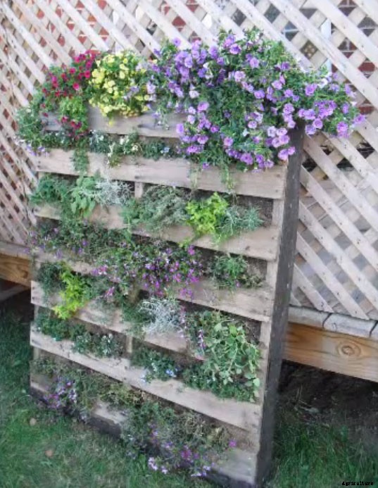 Upcycle Old Pallets to Make Beautiful Vertical Gardens