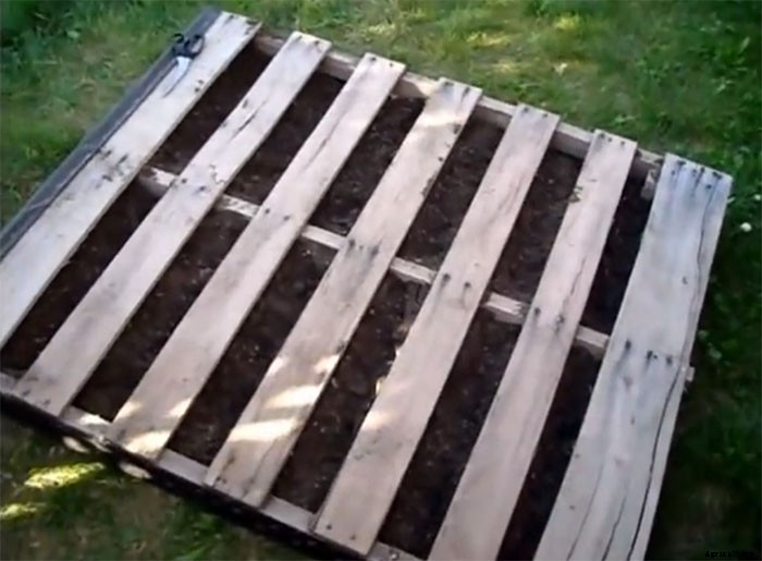 Upcycle Old Pallets to Make Beautiful Vertical Gardens