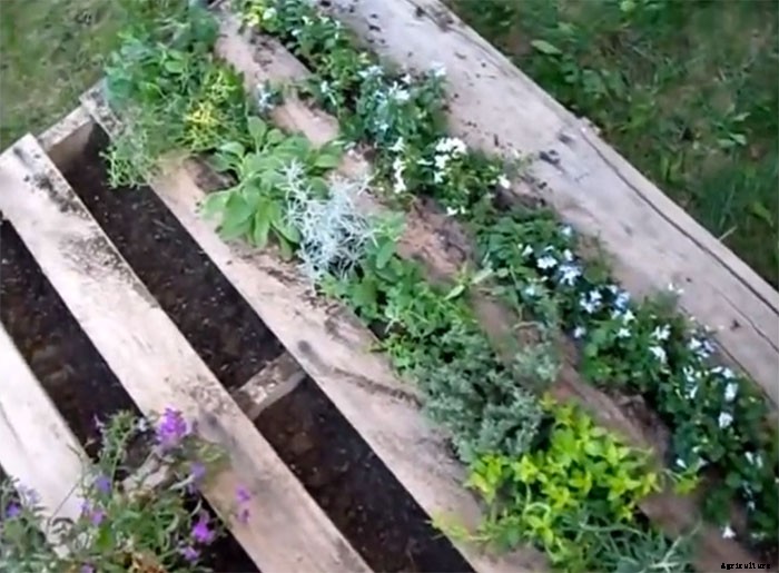 Upcycle Old Pallets to Make Beautiful Vertical Gardens
