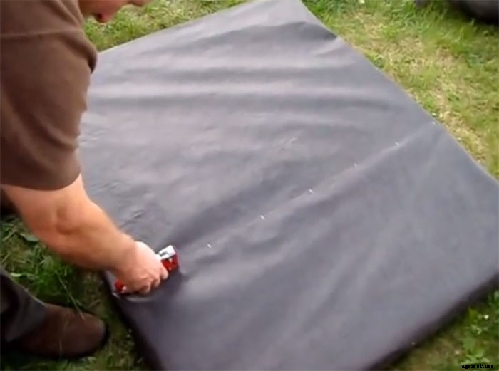 Upcycle Old Pallets to Make Beautiful Vertical Gardens