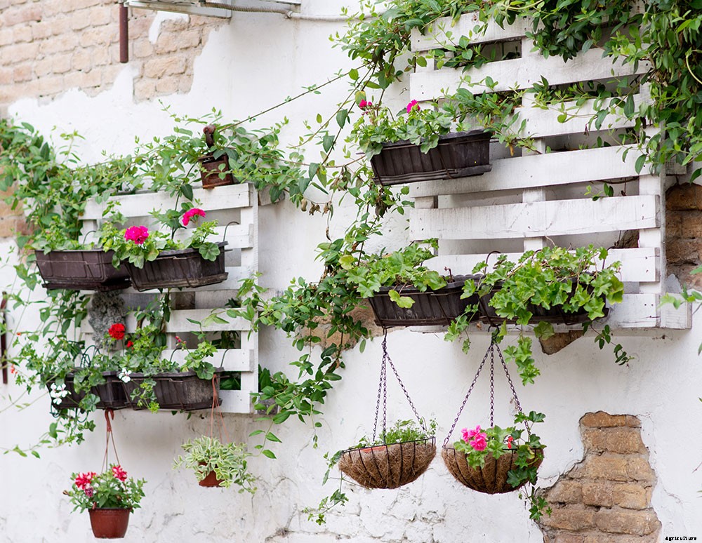 Upcycle Old Pallets to Make Beautiful Vertical Gardens