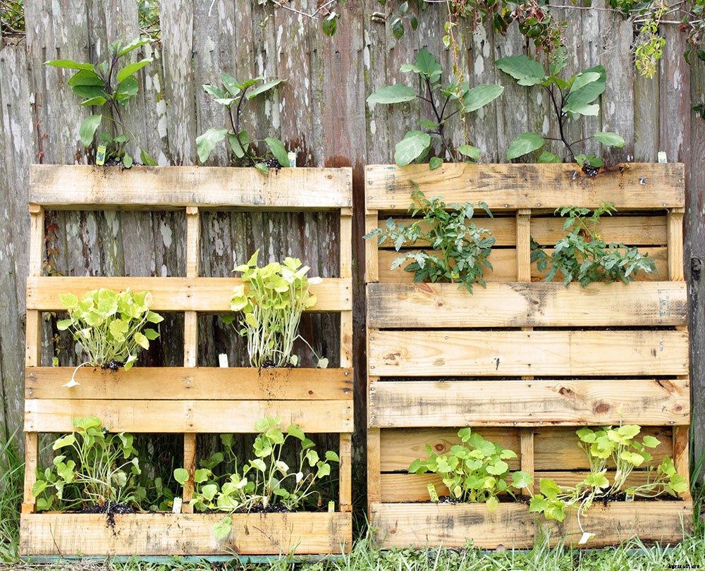 Upcycle Old Pallets to Make Beautiful Vertical Gardens