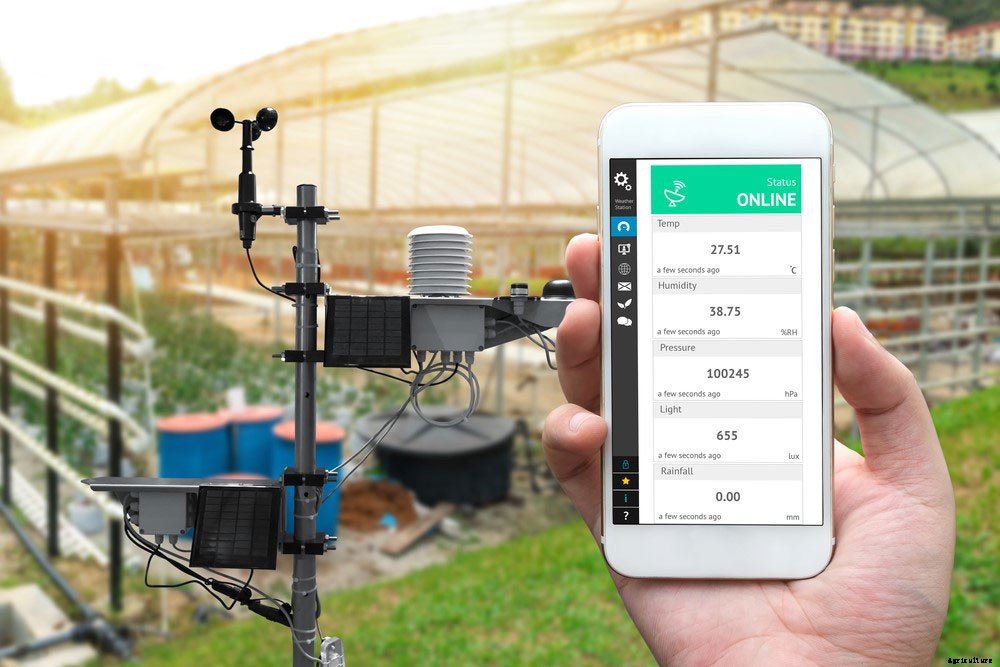 5 Ways Weather Stations Can Benefit Your Garden