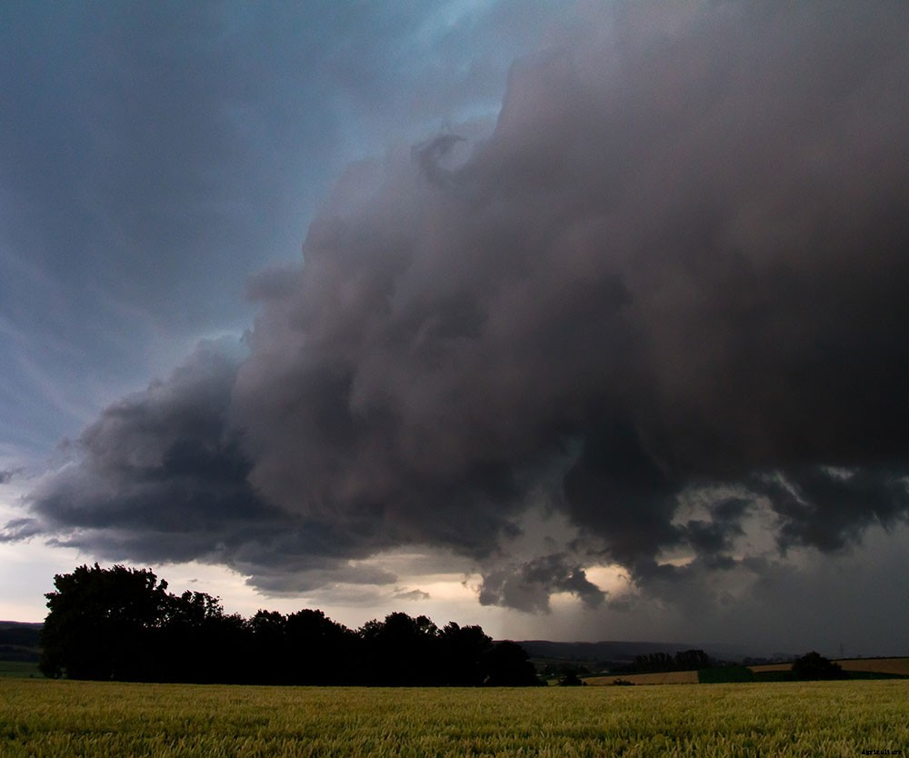 5 Ways Weather Stations Can Benefit Your Garden