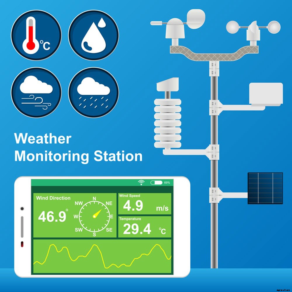 5 Ways Weather Stations Can Benefit Your Garden