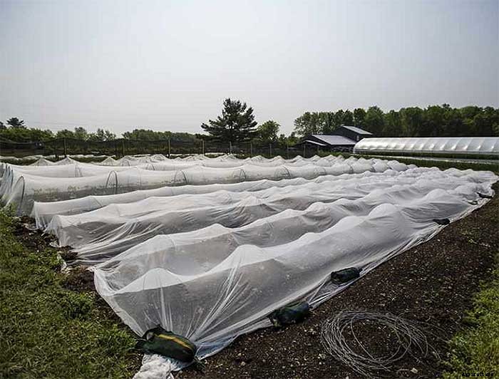 How To Earn $140k Farming 1.5 Acres