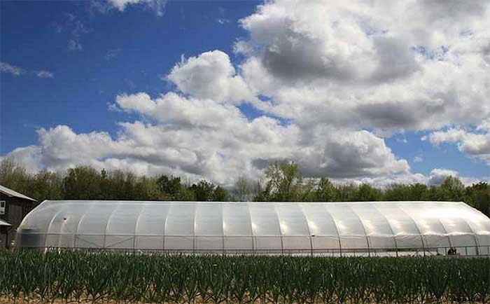 How To Earn $140k Farming 1.5 Acres