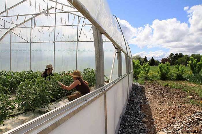 How To Earn $140k Farming 1.5 Acres