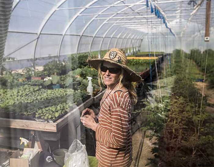 How To Earn $140k Farming 1.5 Acres