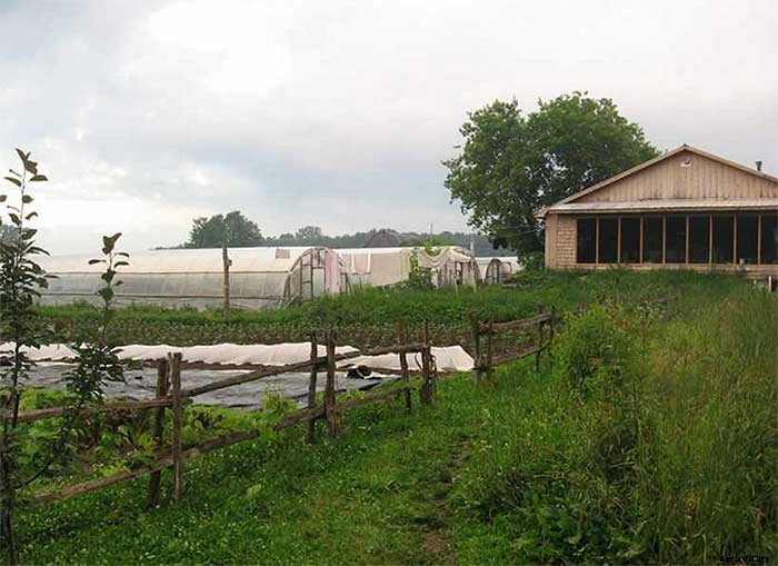 How To Earn $140k Farming 1.5 Acres