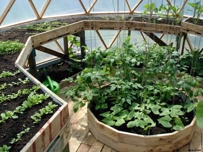 A Beautifully Efficient DIY Dome Greenhouse