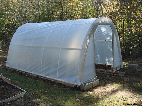 How to Build a Hoop House Greenhouse for $50