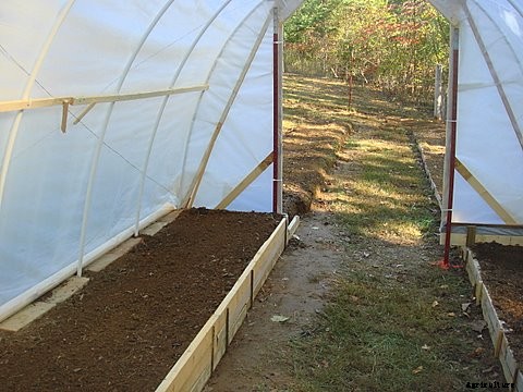How to Build a Hoop House Greenhouse for $50