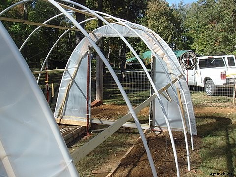 How to Build a Hoop House Greenhouse for $50