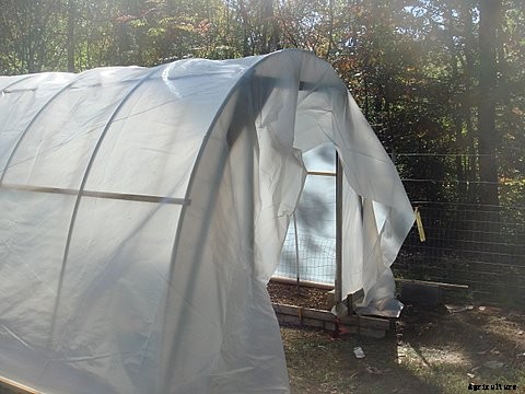 How to Build a Hoop House Greenhouse for $50