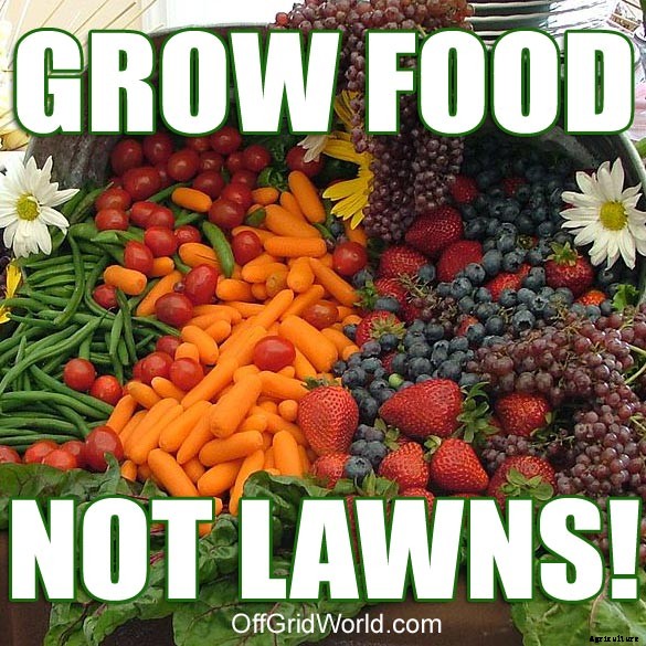 How To Feed The World: Grow Food, Not Lawns!