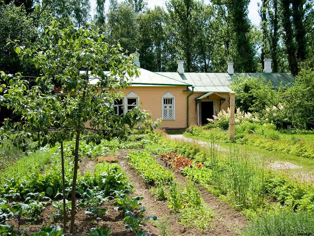 How To Feed The World: Grow Food, Not Lawns!