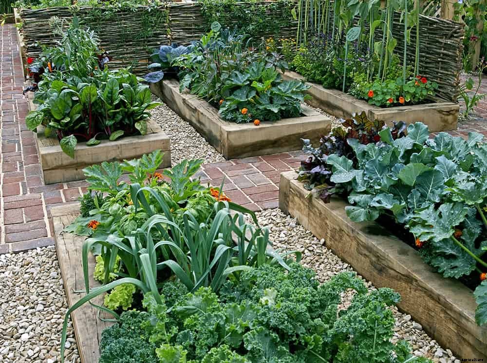 How To Feed The World: Grow Food, Not Lawns!