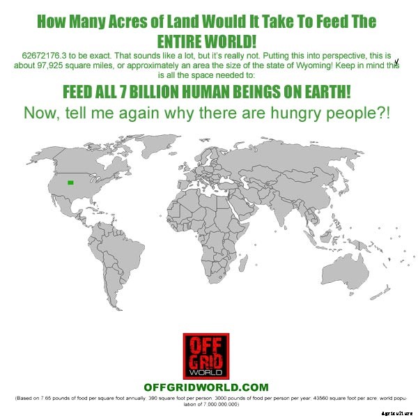 How To Feed The World: Grow Food, Not Lawns!