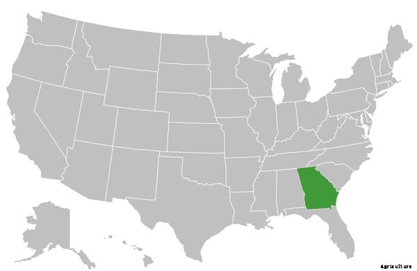 How To Feed The World: Grow Food, Not Lawns!