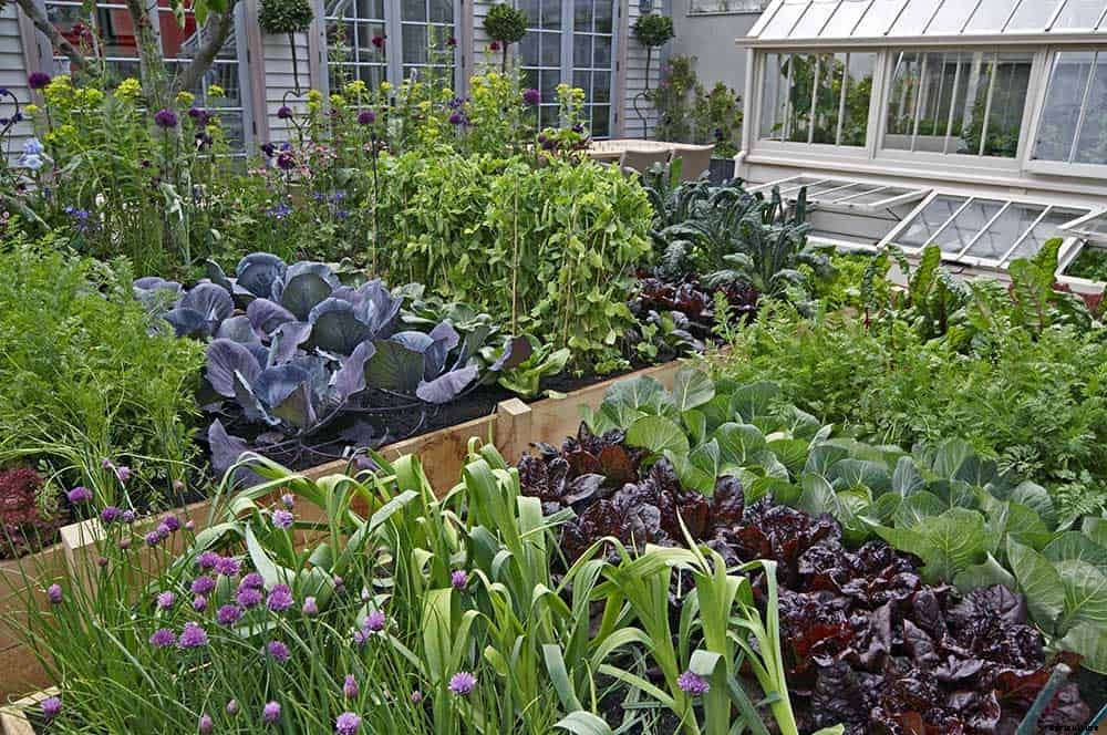 60,000lbs of Organic Food Per Acre!