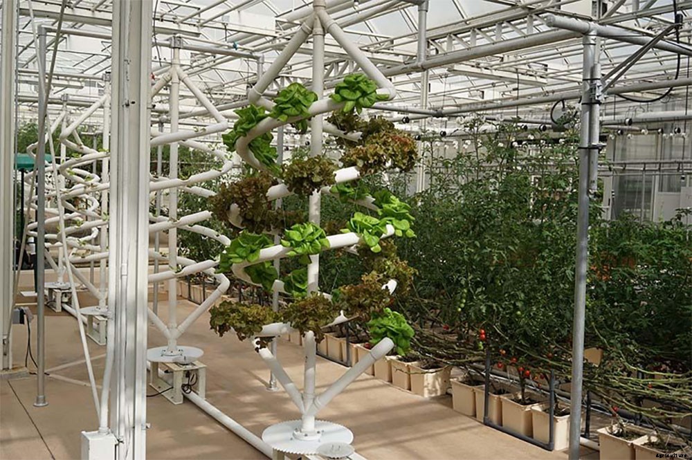 An Introduction to Hydroponics