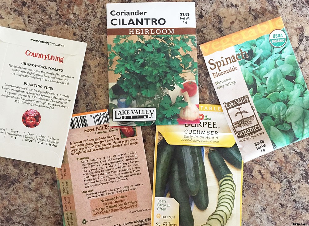 Heirloom, Organic, and Hybrid Seeds: Which are Best?