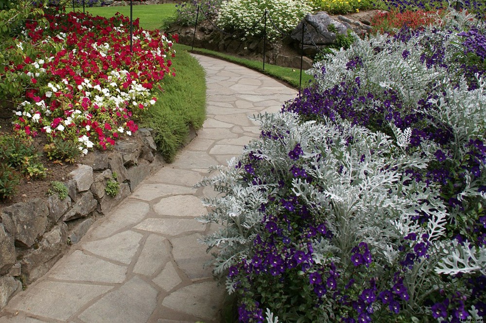 How to Create a Low Maintenance Garden