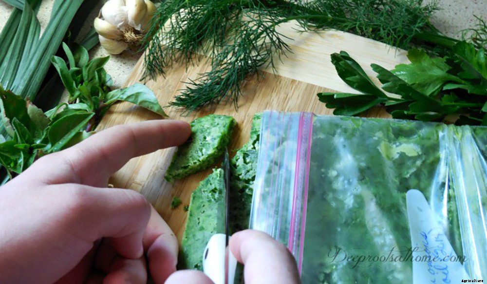 7 Easy Ways To Preserve Herbs From Your Garden