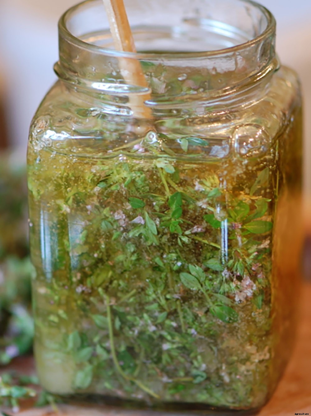 7 Easy Ways To Preserve Herbs From Your Garden