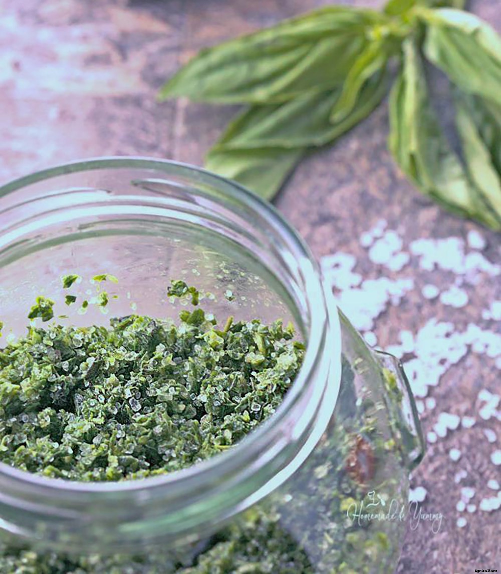 7 Easy Ways To Preserve Herbs From Your Garden