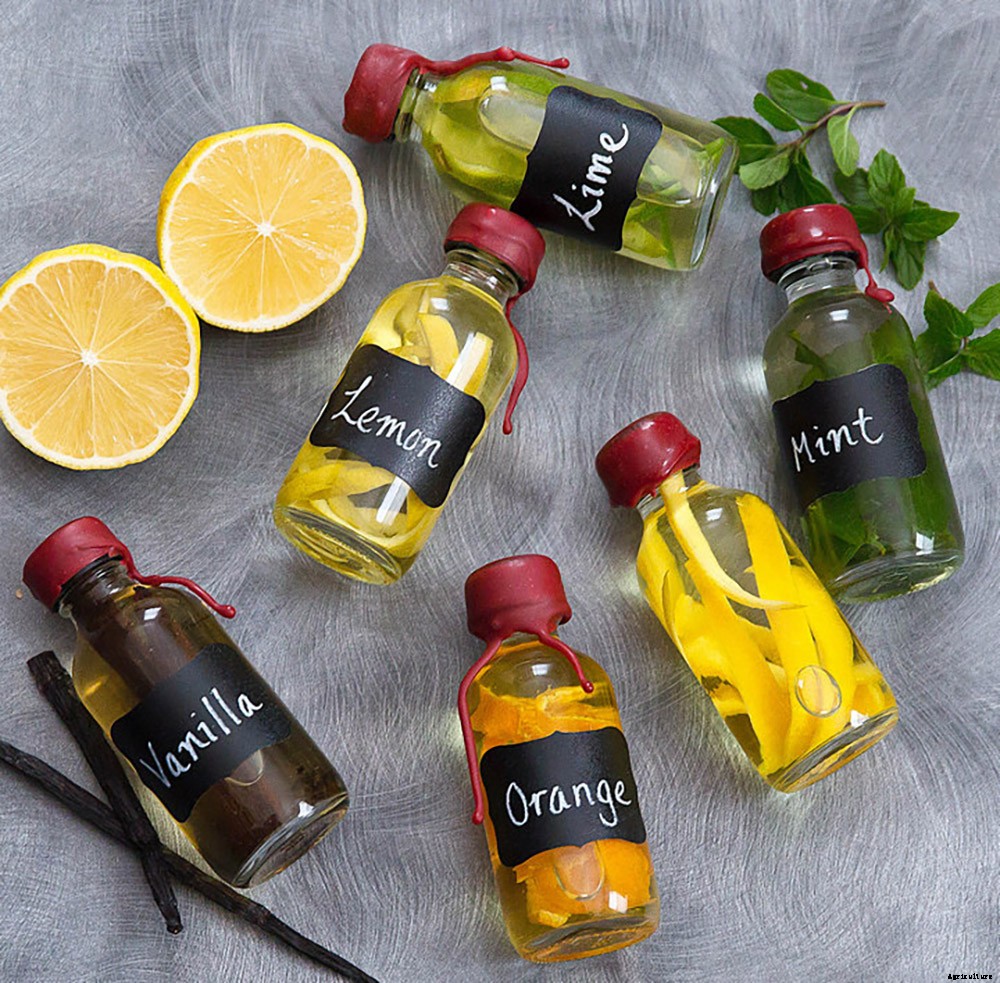 7 Easy Ways To Preserve Herbs From Your Garden