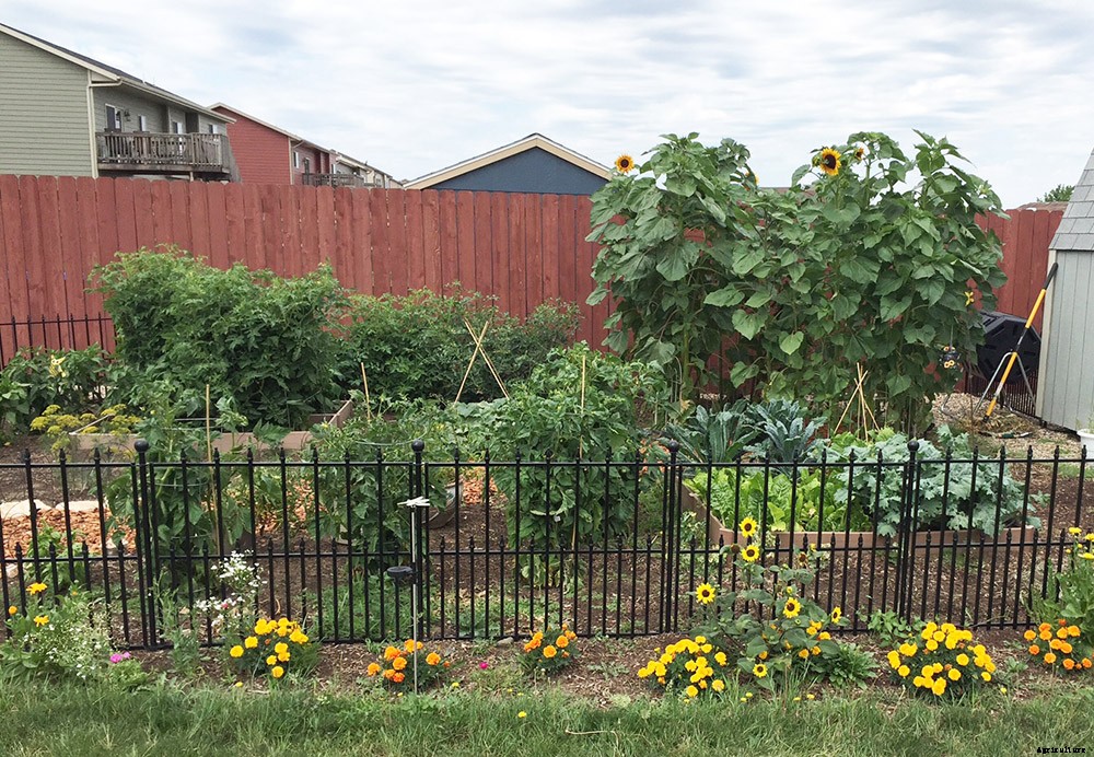 Replacing your lawn with a garden can help save money and the environment