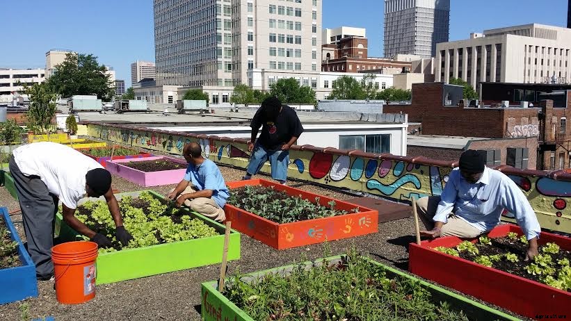 Homeless Plant Massive Organic Rooftop Garden to Feed an Entire Shelter