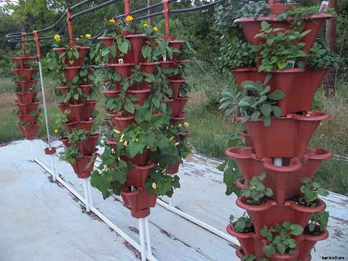 Grow 600 Plants in 36sqft Hydroponic Vertical Garden System