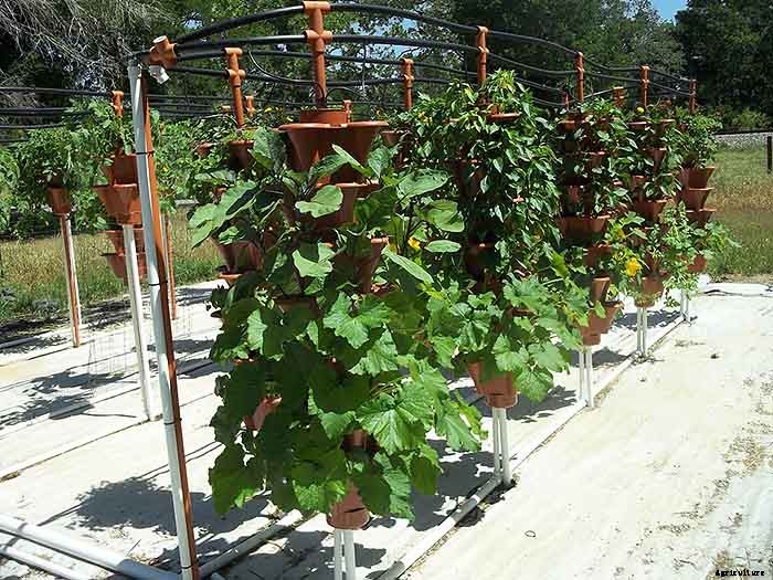 Grow 600 Plants in 36sqft Hydroponic Vertical Garden System