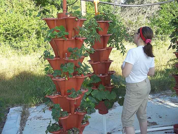 Grow 600 Plants in 36sqft Hydroponic Vertical Garden System