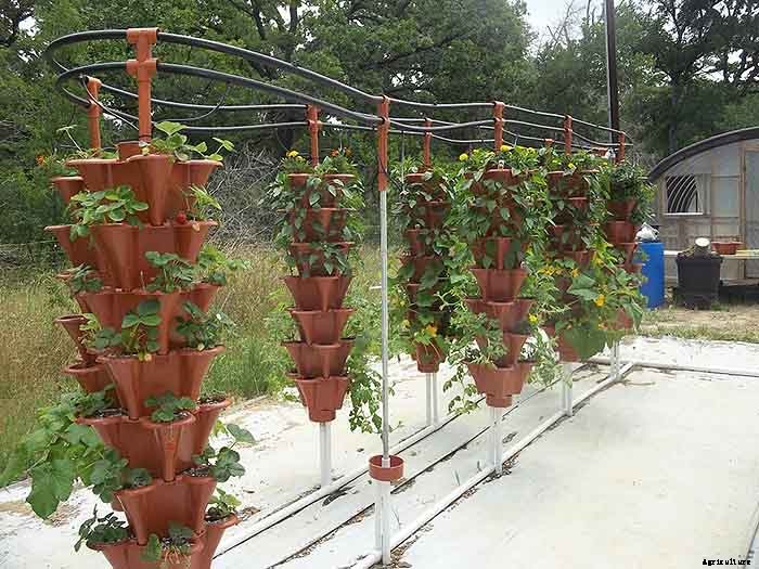 Grow 600 Plants in 36sqft Hydroponic Vertical Garden System