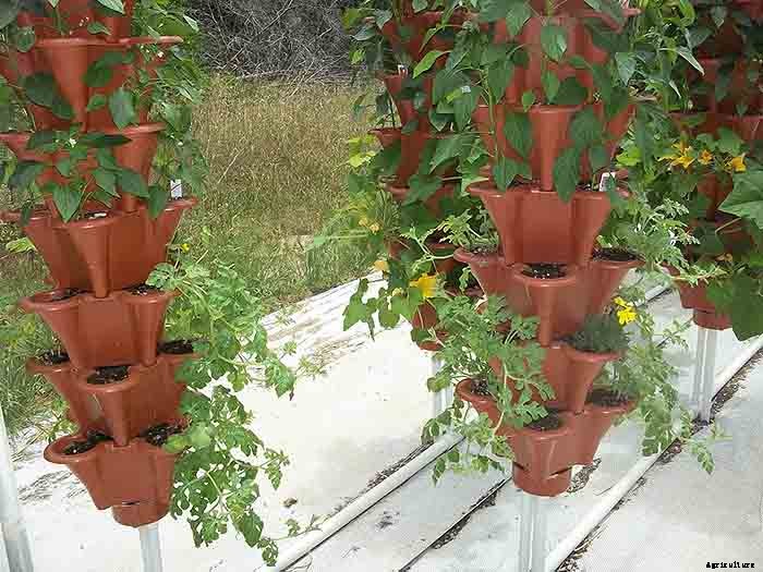 Grow 600 Plants in 36sqft Hydroponic Vertical Garden System