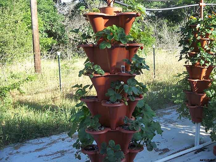 Grow 600 Plants in 36sqft Hydroponic Vertical Garden System