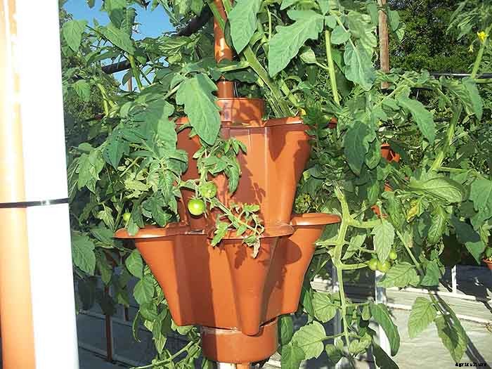 Grow 600 Plants in 36sqft Hydroponic Vertical Garden System