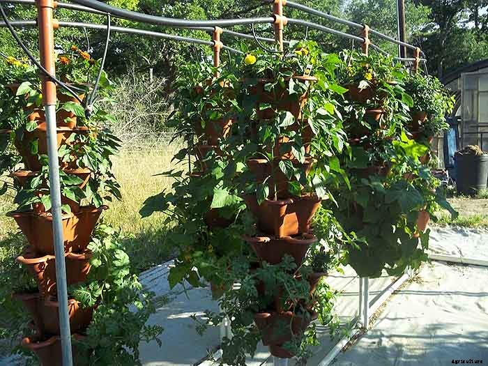 Grow 600 Plants in 36sqft Hydroponic Vertical Garden System