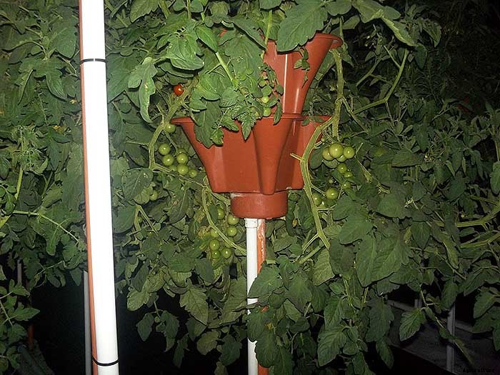 Grow 600 Plants in 36sqft Hydroponic Vertical Garden System