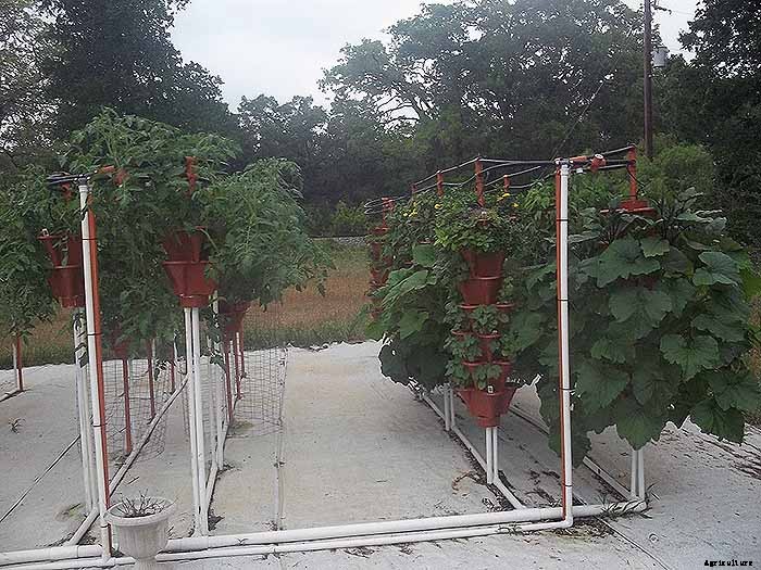 Grow 600 Plants in 36sqft Hydroponic Vertical Garden System