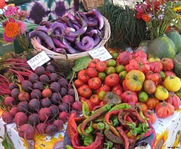 Organic Farmer Grosses $100,000 Per Acre on 8 Acre Farm