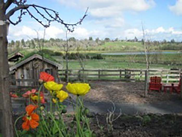 Organic Farmer Grosses $100,000 Per Acre on 8 Acre Farm