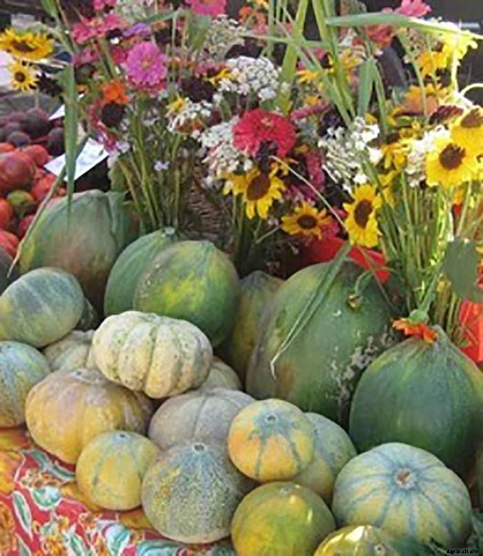 Organic Farmer Grosses $100,000 Per Acre on 8 Acre Farm