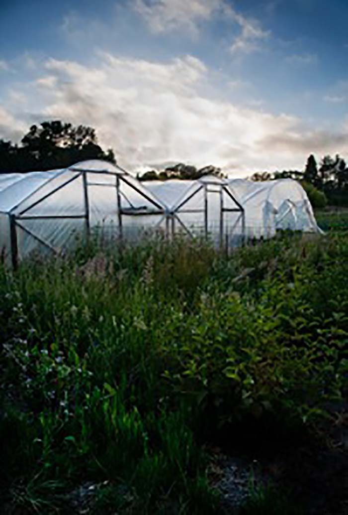 Organic Farmer Grosses $100,000 Per Acre on 8 Acre Farm