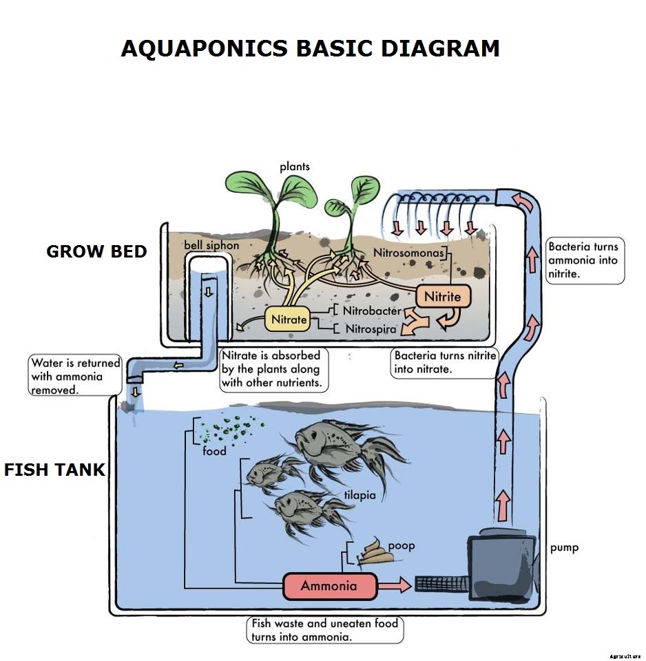 First Commercial Vertical Farm in USA Being Built in Wyoming